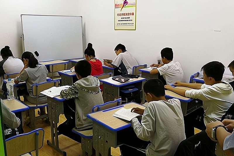 教育咨询行业的新风向：在线个性化辅导引领趋势